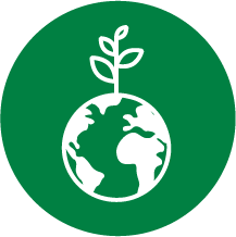 plante-arbre-icone